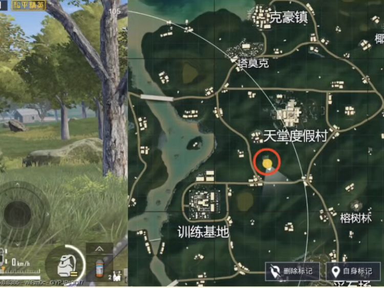 《和平精英》雨林地图苟分点在哪里