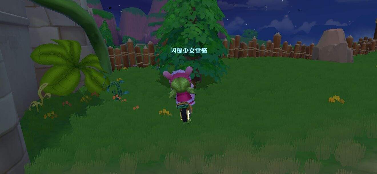 《摩尔庄园》最全黑浆果收集路线