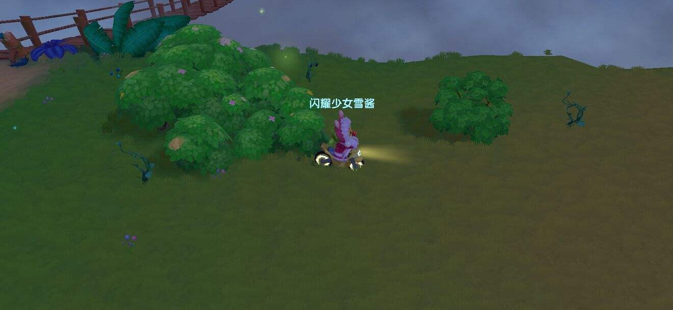 《摩尔庄园》最全黑浆果收集路线