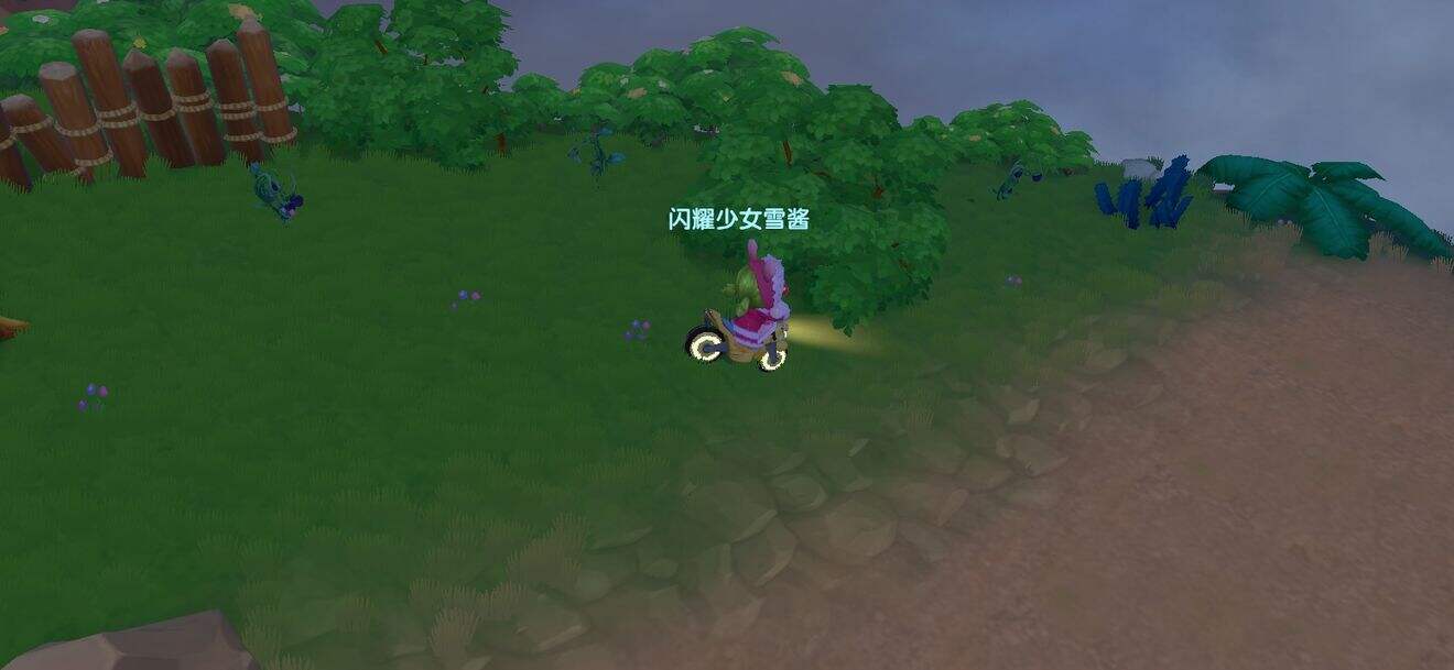 《摩尔庄园》最全黑浆果收集路线