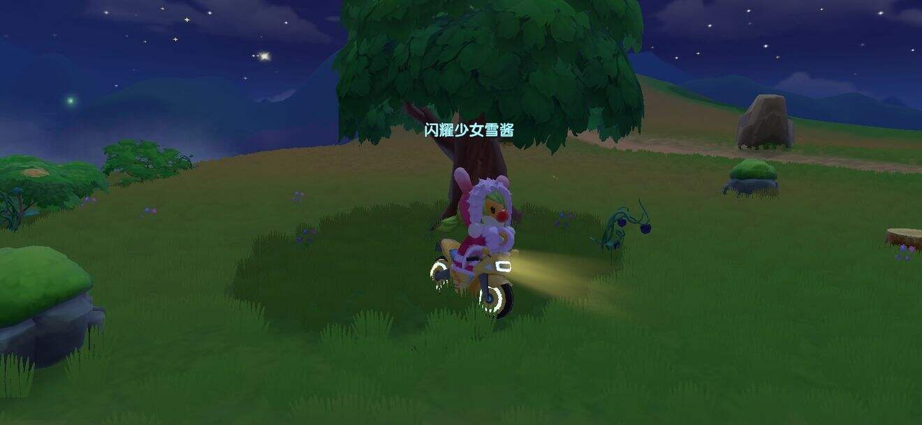 《摩尔庄园》最全黑浆果收集路线