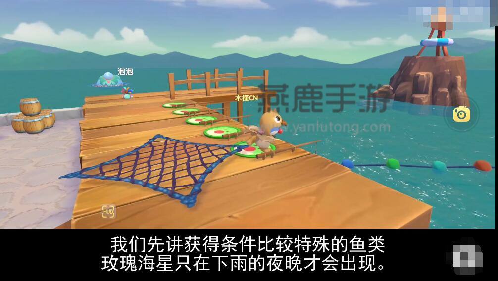 摩尔庄园手游魔鳉鱼5