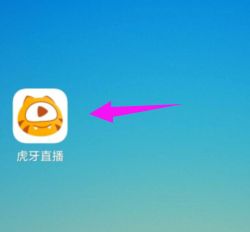 虎牙直播充值怎么充虎牙币 充值步骤图例