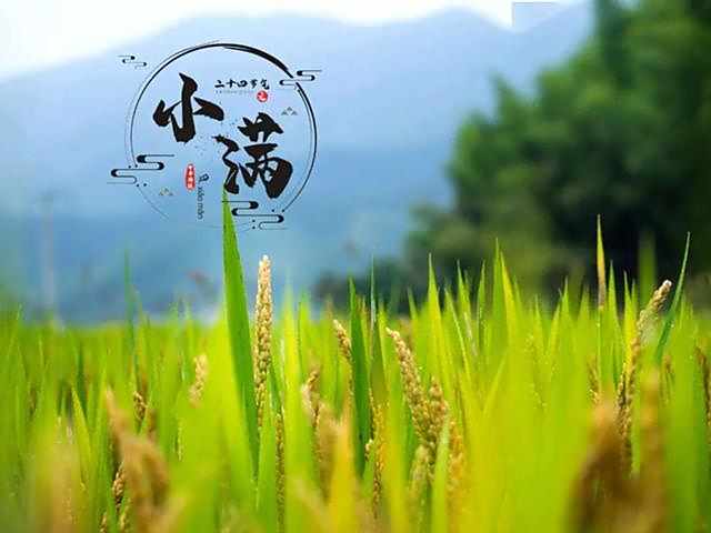 二十四节气小满是什么意思 它指什么季节
