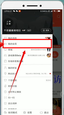 网易云音乐怎么取消自动续费黑胶vip