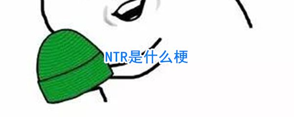 ntr是什么意思的缩写 该网络流行语来源和出处