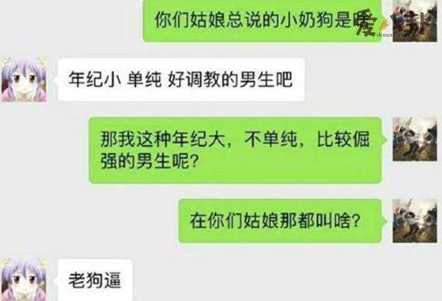 网络用语小奶狗什么意思 女生形容男生怎么说