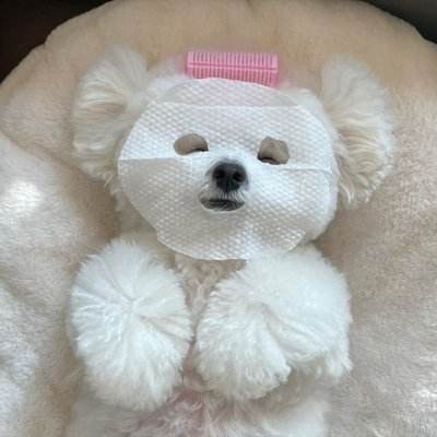 狗狗微信头像图片大全可爱23