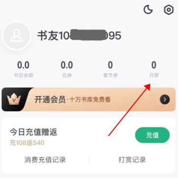 书旗小说如何送月票 书旗小说月票的使用方法