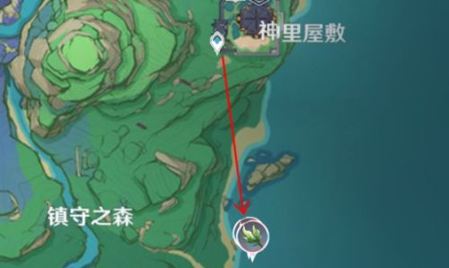 《原神》海草采集地点最多分布路线图一览4