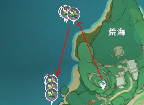 《原神》海草采集地点最多分布路线图一览6