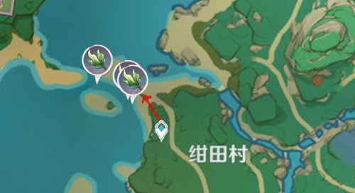 《原神》海草采集地点最多分布路线图一览7