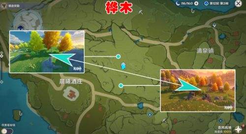 《原神》桦木最快速采集路线推荐