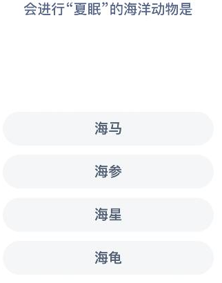 《神奇海洋》会进行夏眠的海洋动物是什么