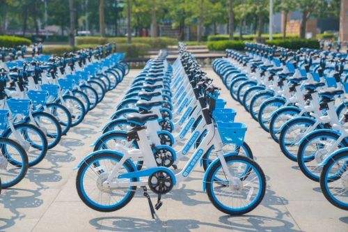 哈啰出行如何开启相机权限 开启相机权限方法介绍