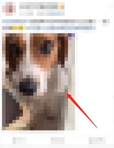 微博怎么关闭动态视频封面 关闭动态视频封面操作一览