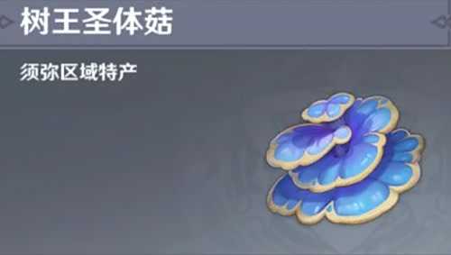 《原神》树王圣体菇位置大全及最佳采集路线一览