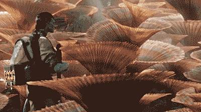 中国手游折服了“西半球最强法务部”???这是我见过今年最科幻的故事