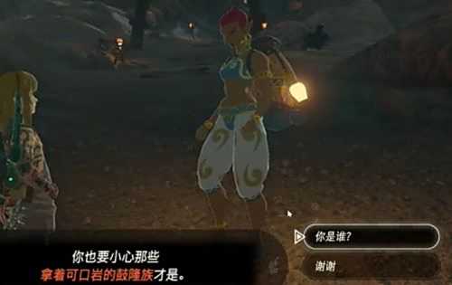 《塞尔达王国之泪》奥尔汀地区收购琥珀攻略