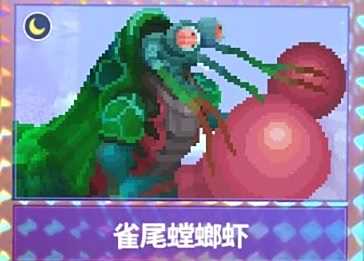 《潜水员戴夫》雀尾螳螂虾获取方法介绍